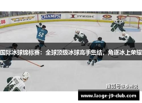 国际冰球锦标赛：全球顶级冰球高手集结，角逐冰上荣耀