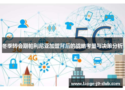 冬季转会期帕利尼亚加盟背后的战略考量与决策分析