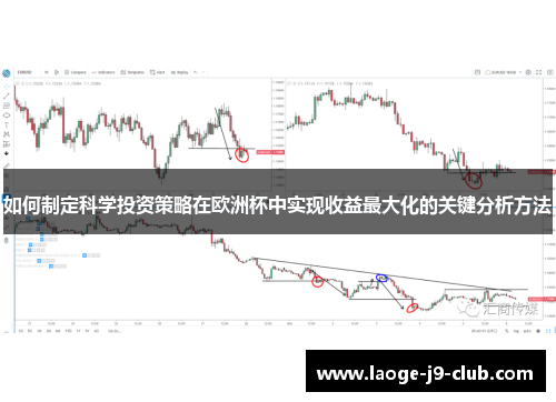 如何制定科学投资策略在欧洲杯中实现收益最大化的关键分析方法