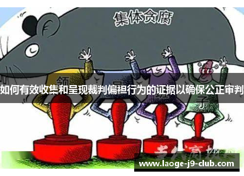 如何有效收集和呈现裁判偏袒行为的证据以确保公正审判