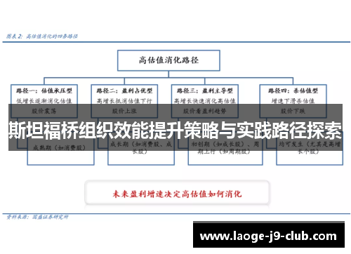 斯坦福桥组织效能提升策略与实践路径探索