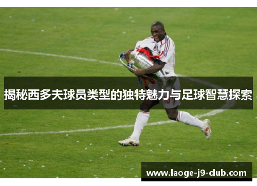 揭秘西多夫球员类型的独特魅力与足球智慧探索
