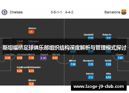 斯坦福桥足球俱乐部组织结构深度解析与管理模式探讨